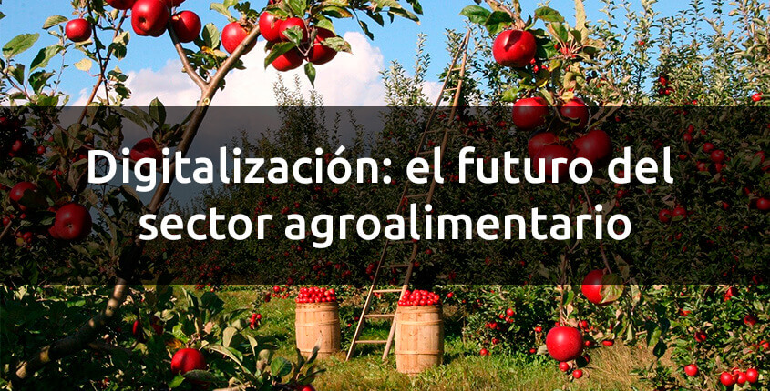 El futuro del sector agroalimentario es la digitalización