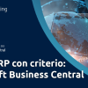 Business Central ERP